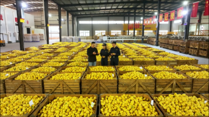 柑橘、檸檬、大蒜……重慶特色農產品出海喜迎“開門紅”